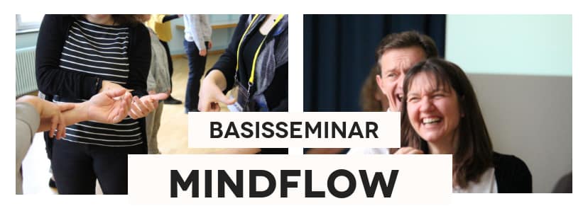 mindflow basisseminar zürich